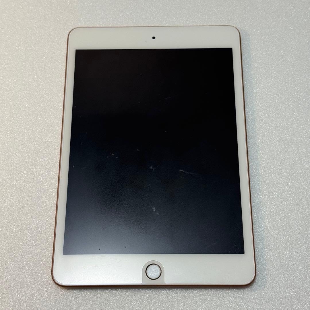 256GB iPad mini 5 Wi-Fi バッテリー最大容量89%