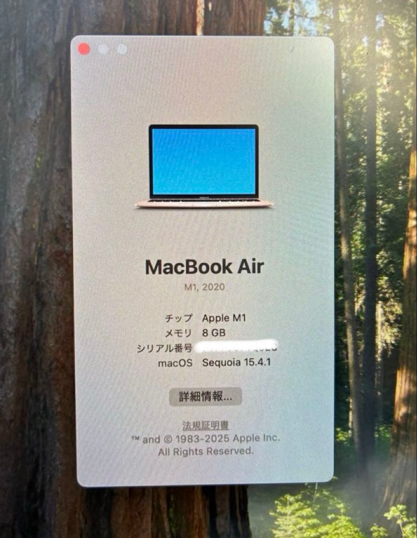 MacBook Air 2020 M1 8GB 256GB 13インチ