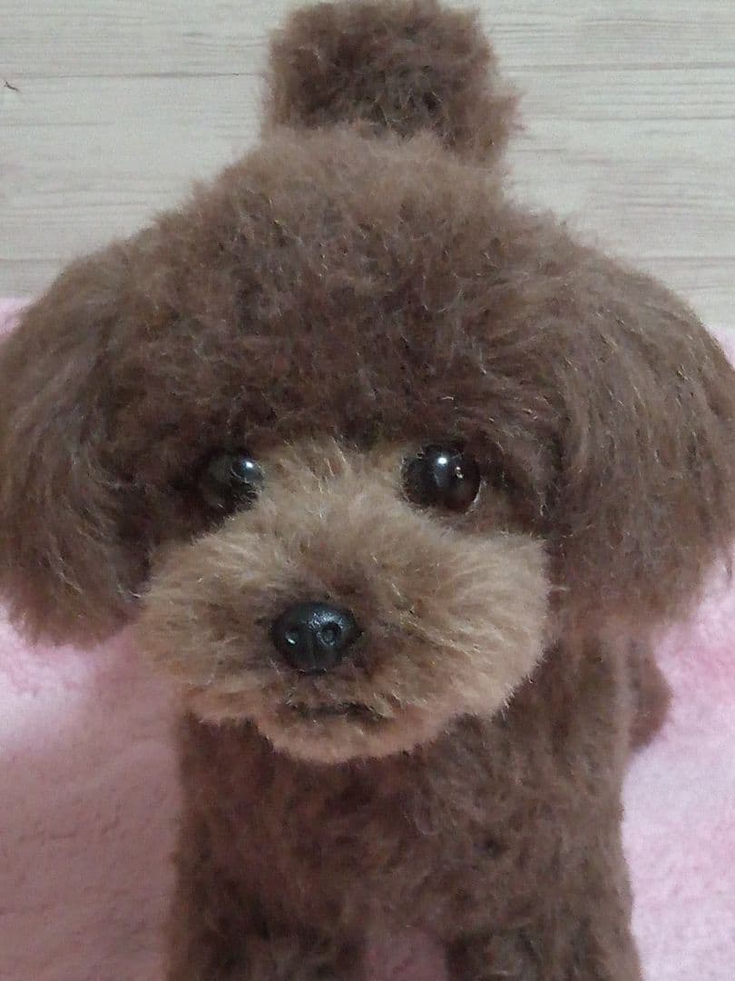愛犬さんの羊毛フェルトオーダー・マロンチョコ様ご確認専用ページ