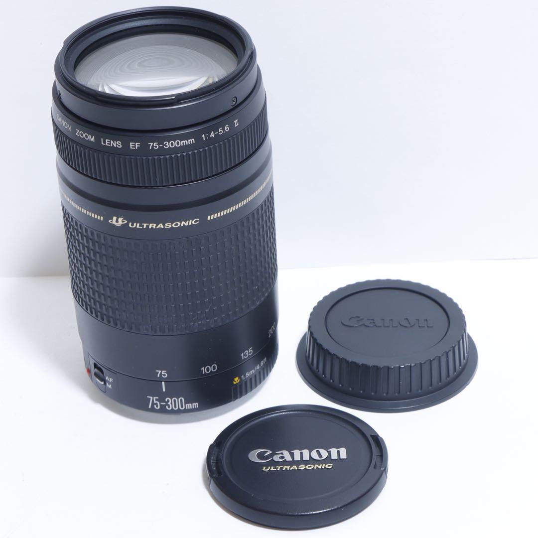 ◇超望遠&高速AF◇ Canon純正 75-300mm II型 望遠レンズ ◇