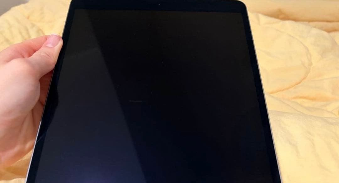 [値下げ]iPad スペースグレー 第3世代 本体 + Apple Pencil