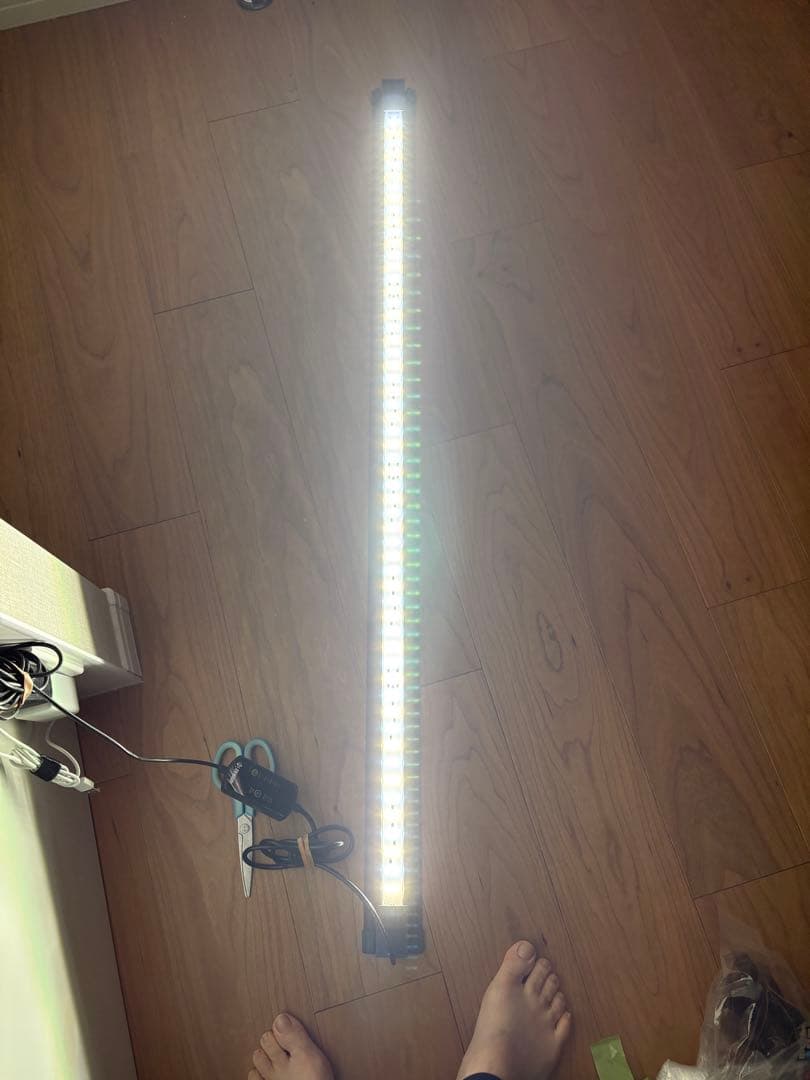 ゼンスイ マルチカラーLED2 1200