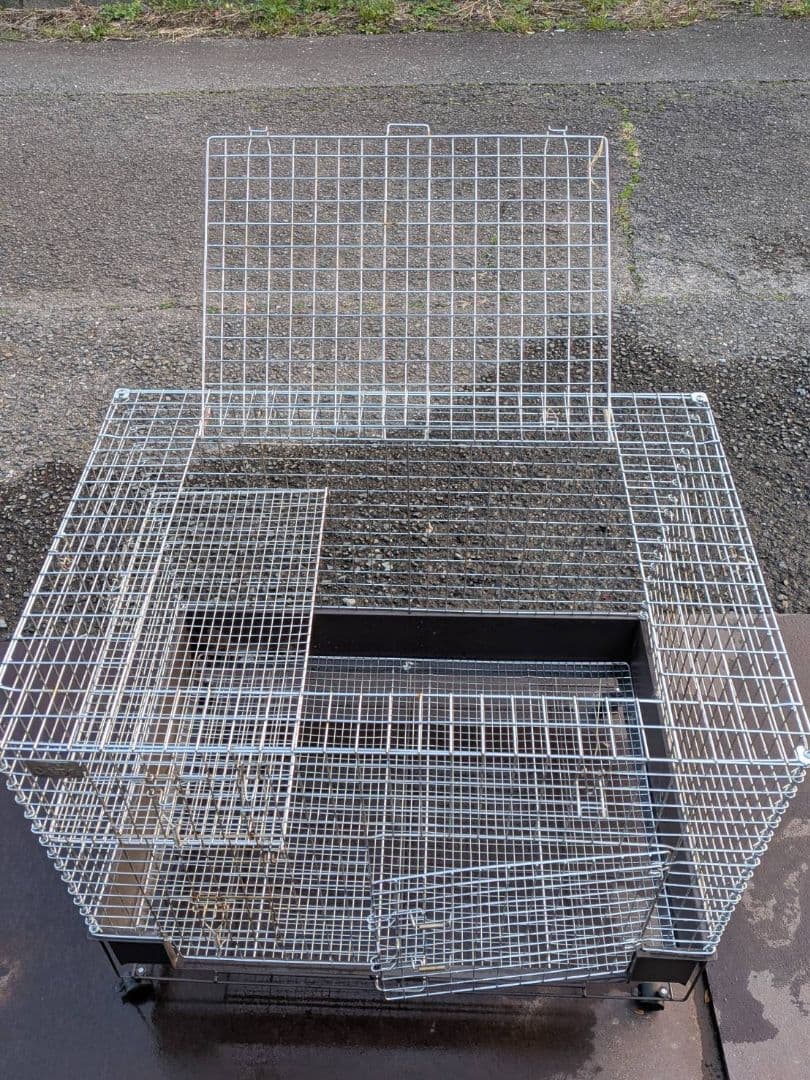 猫　うさぎ　ゲージ　カワイ　kawai　コンフォート
