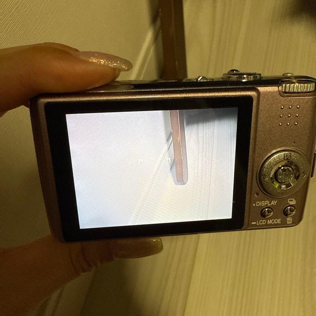 【専用　動作確認済】パナソニック LUMIX DMC-FX01 オールドコンデジ