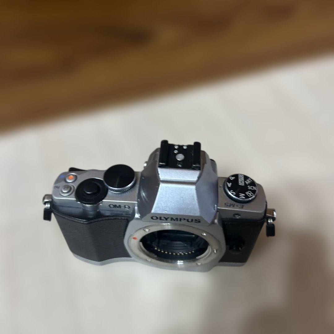 オリンパス　E-M5 使用感あり　簡易動作確認