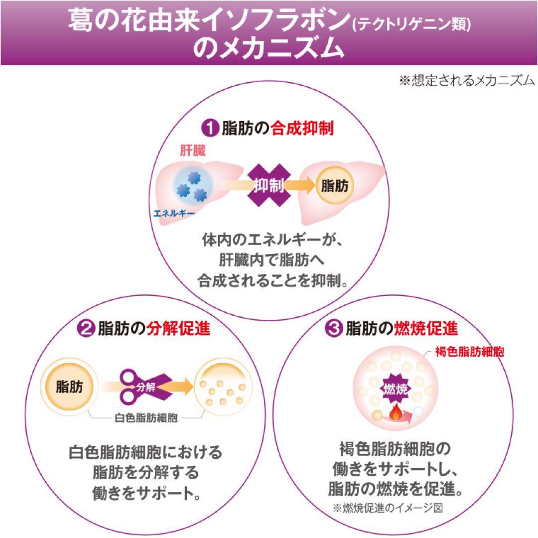 メタバリア 葛の花イソフラボンEX 255日分