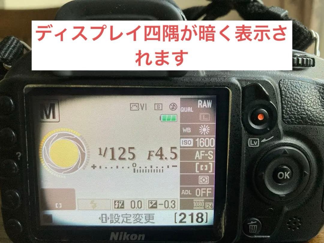 Nikon D3100 デジタル一眼レフカメラ 標準ズームレンズ付き