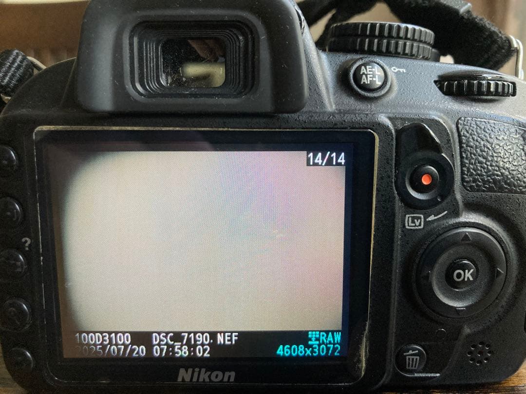 Nikon D3100 デジタル一眼レフカメラ 標準ズームレンズ付き