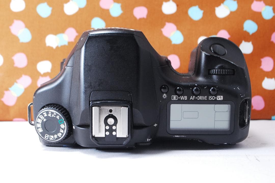 ✨届いてすぐ使える✨初心者オススメ✨Canon 40D レンズセット
