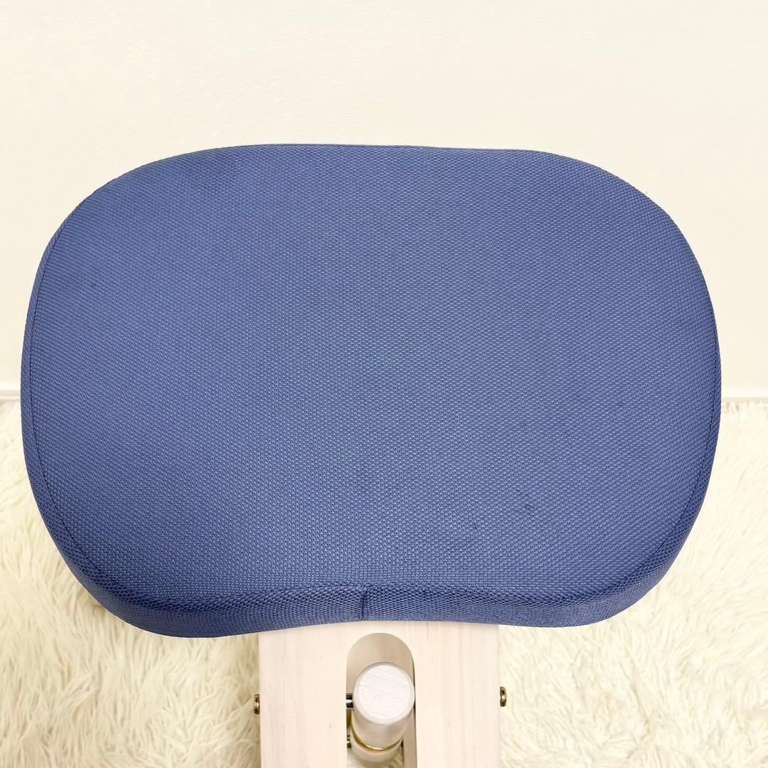 MIYATAKE プロポーションチェア 姿勢矯正チェア カバー 補助クッション