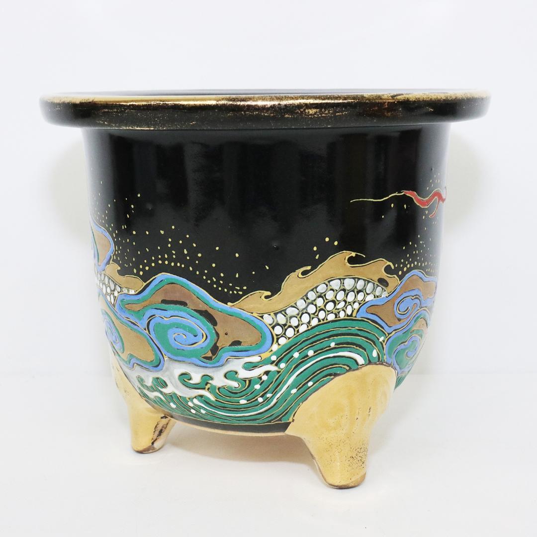 万年青鉢 錦鉢 龍 盆栽