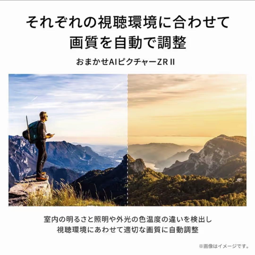 東芝 50V型 4K 液晶テレビ REGZA 50M550L 動画配信アプリ搭載