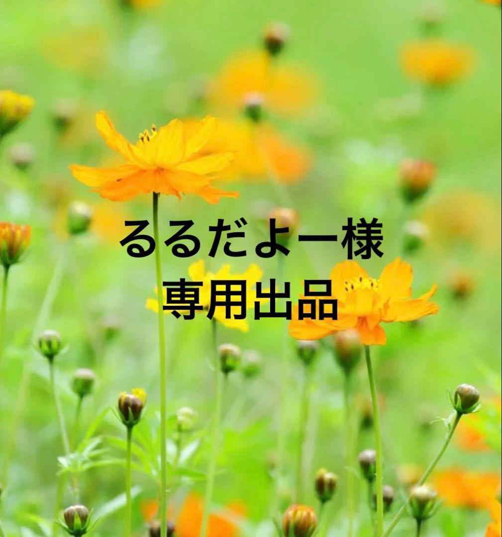 専用出品