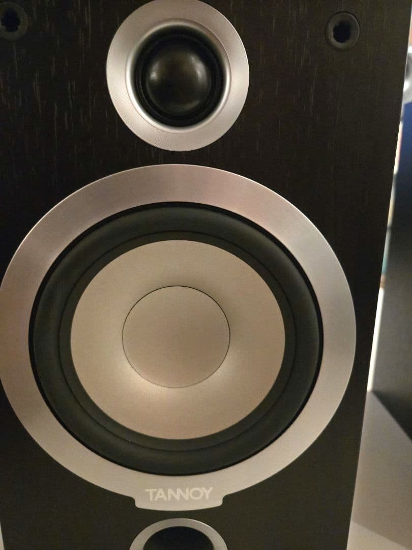 TANNOY MERCURY V1中古動作品ペア