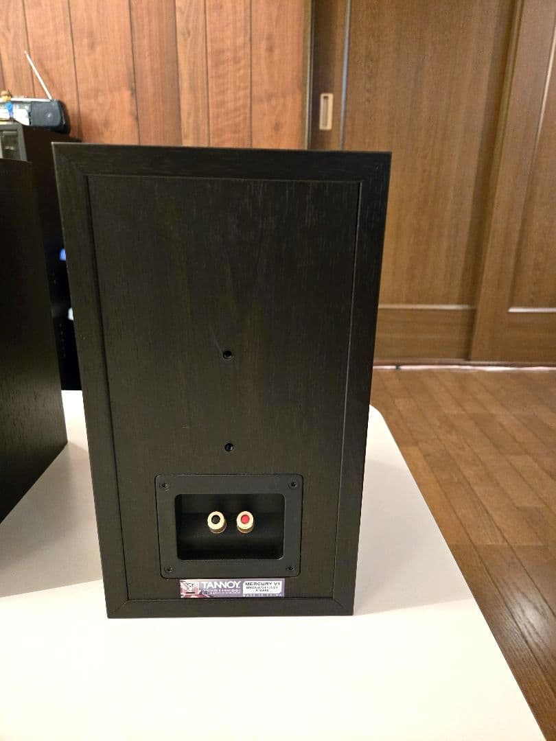 TANNOY MERCURY V1中古動作品ペア
