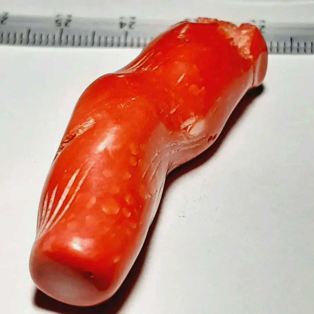 8428　血赤サンゴ　大粒65ct　穴貫通一つ　トップ　天然珊瑚