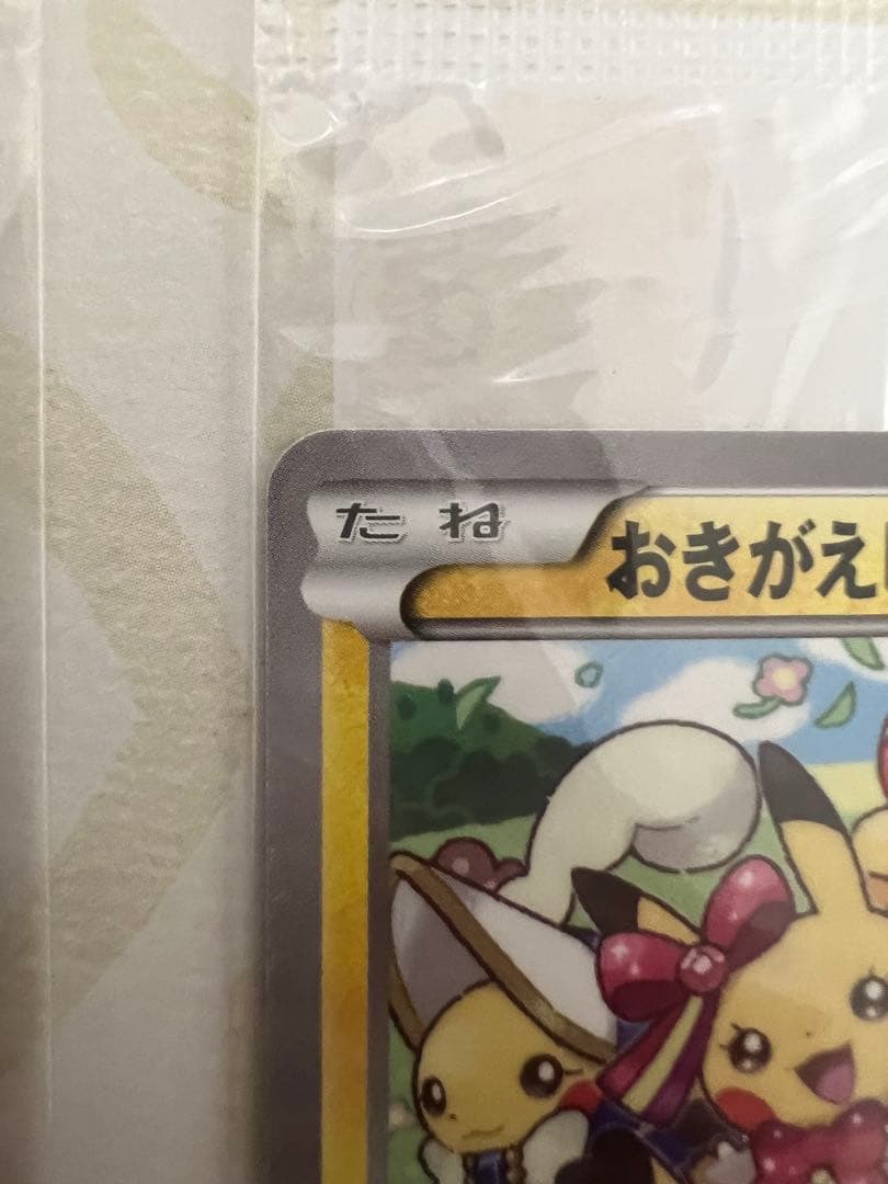 ポケモンカードゲーム コレクション2冊セット