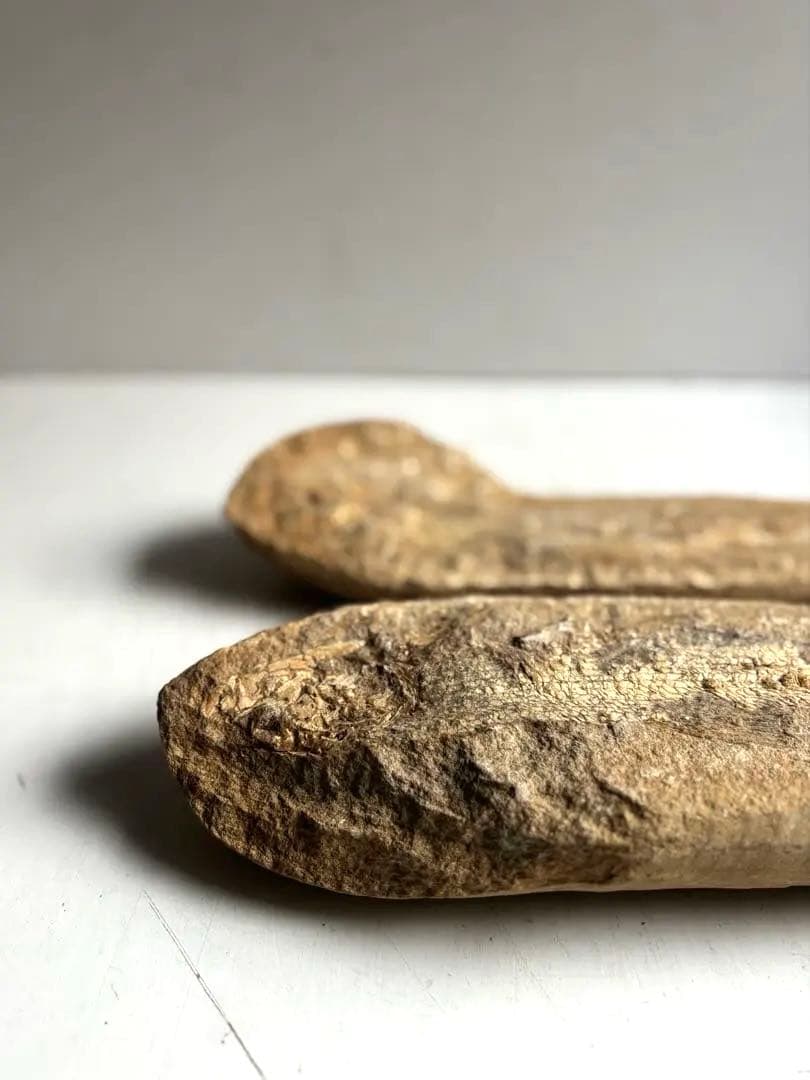 972 化石 白亜紀前期 古代魚 タルリアス・アラピス ブラジル サンタナ層