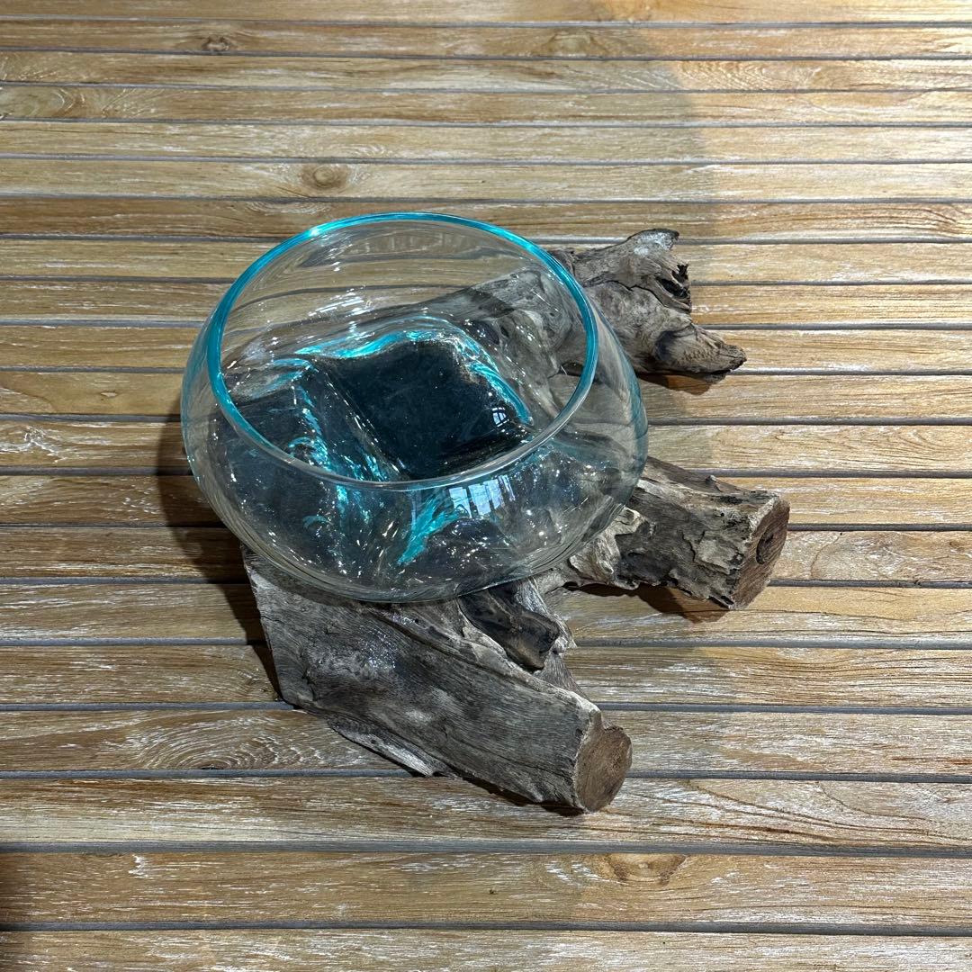 【送料込】バリ島流木ガラス　ガラスΦ20cm前後 苔リウム252Bアクアリウム