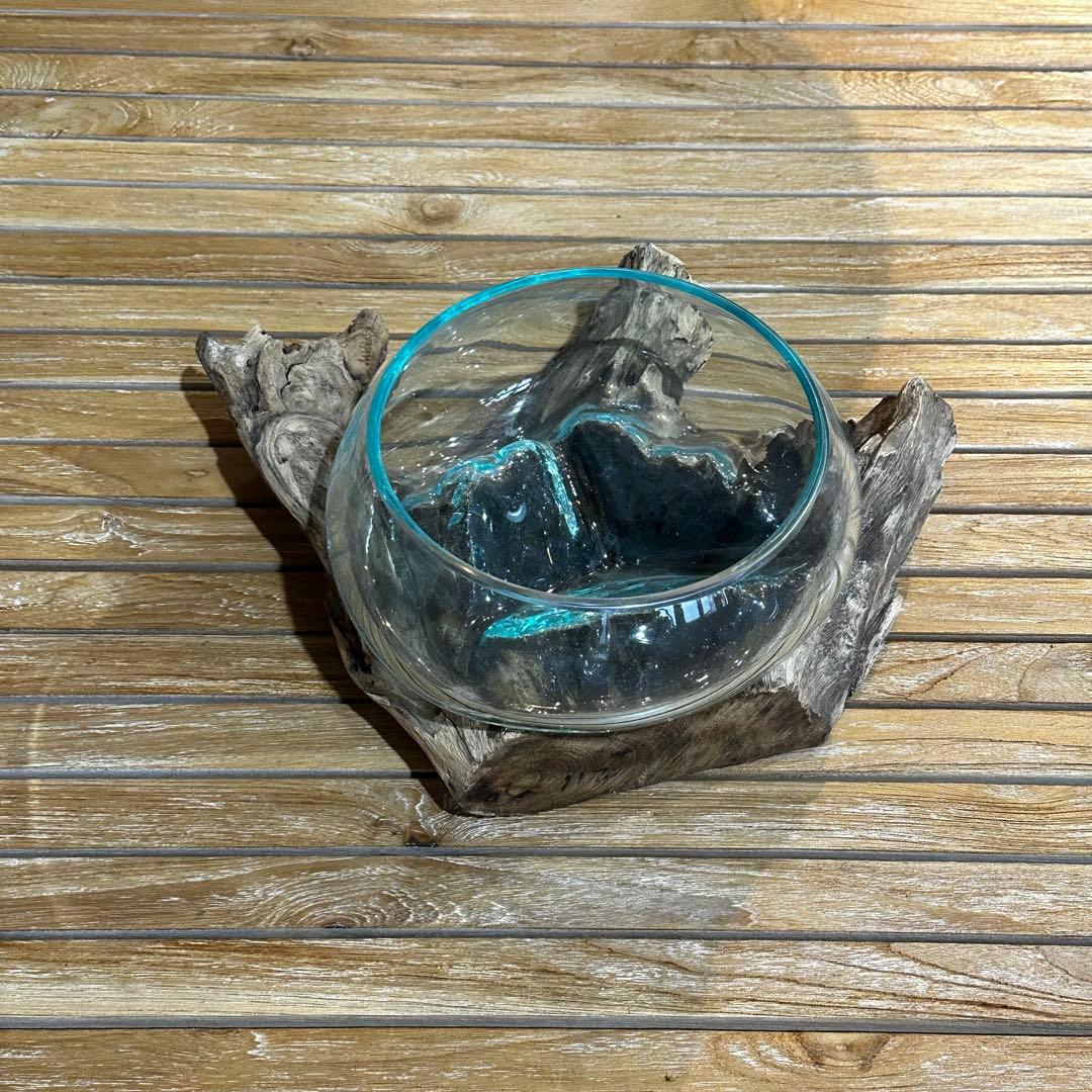 【送料込】バリ島流木ガラス　ガラスΦ20cm前後 苔リウム252Bアクアリウム
