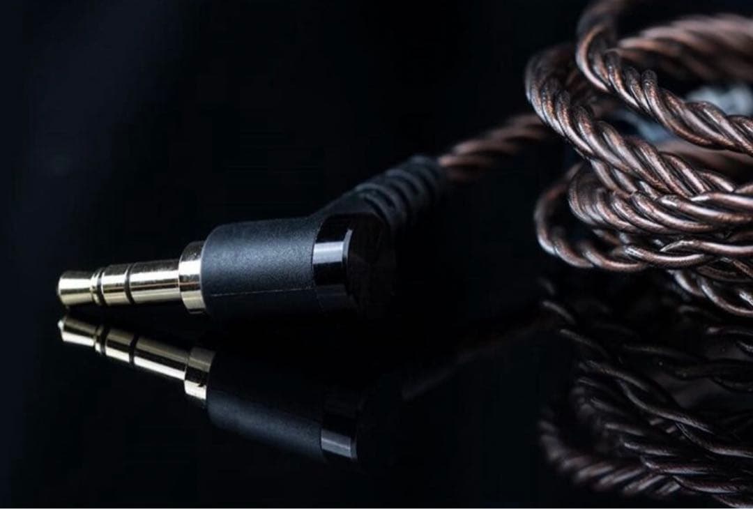 高音質 FiiO FD3 12mm大口径ダイナミックイヤホンL型3.5mm 美品