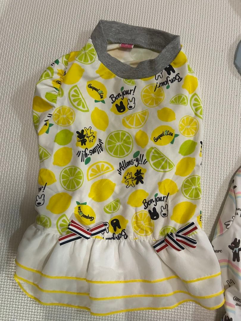 犬の服