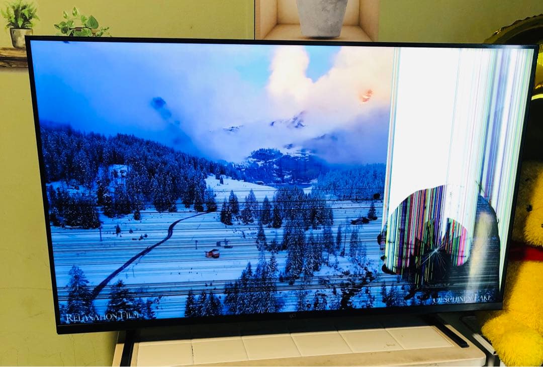 有機ELテレビ 破損あり リモコン付き
