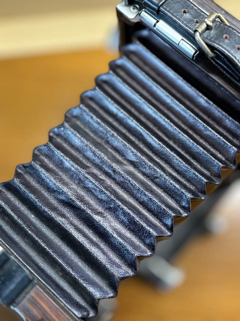 EBONY S23Ti 120ロールフィルム使用【連休中は値下げします】