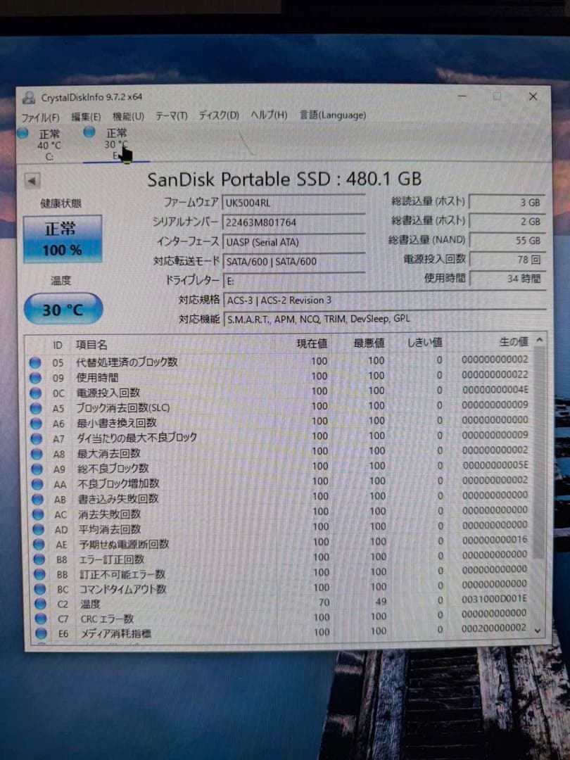 内蔵型SSD SanDisk Portable SSD 480GB