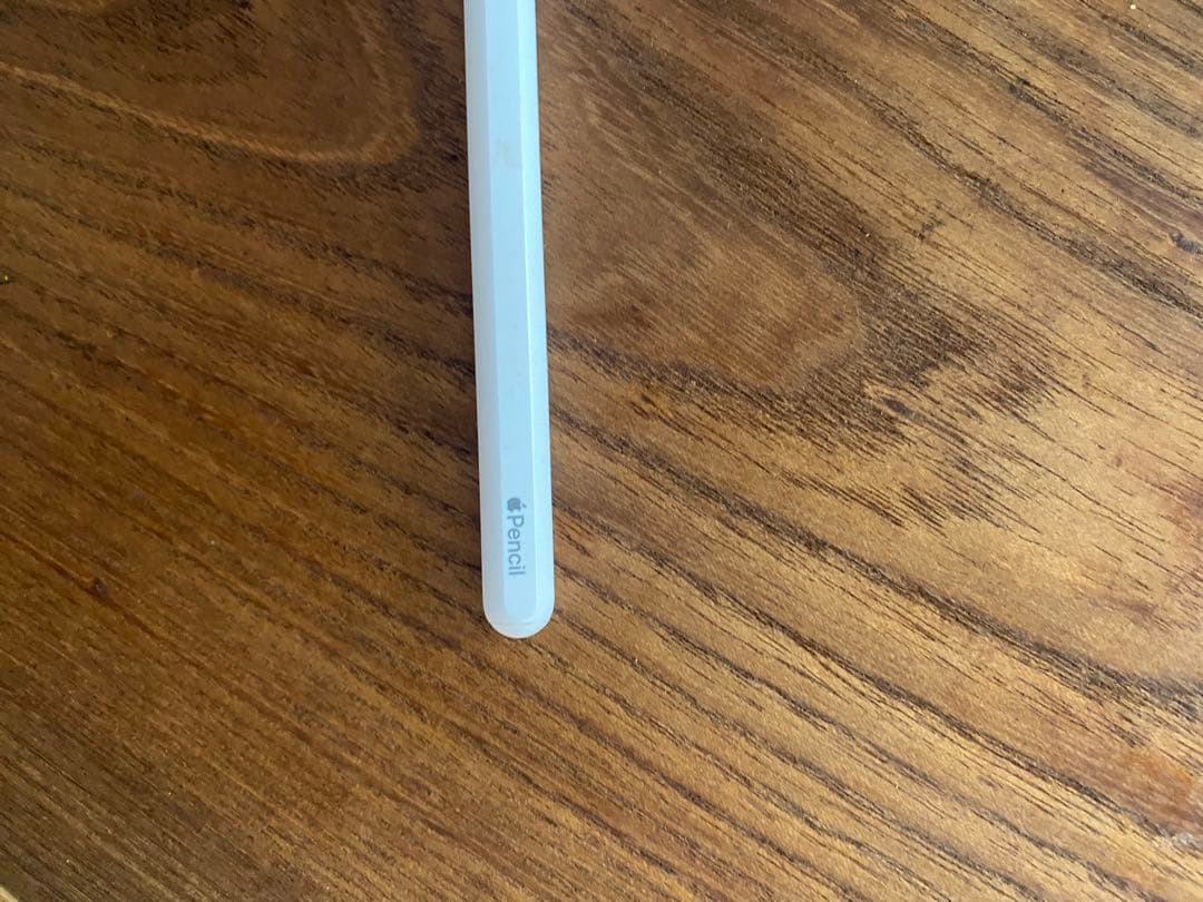 Apple Pencil ホワイト（第2世代・003-180205）