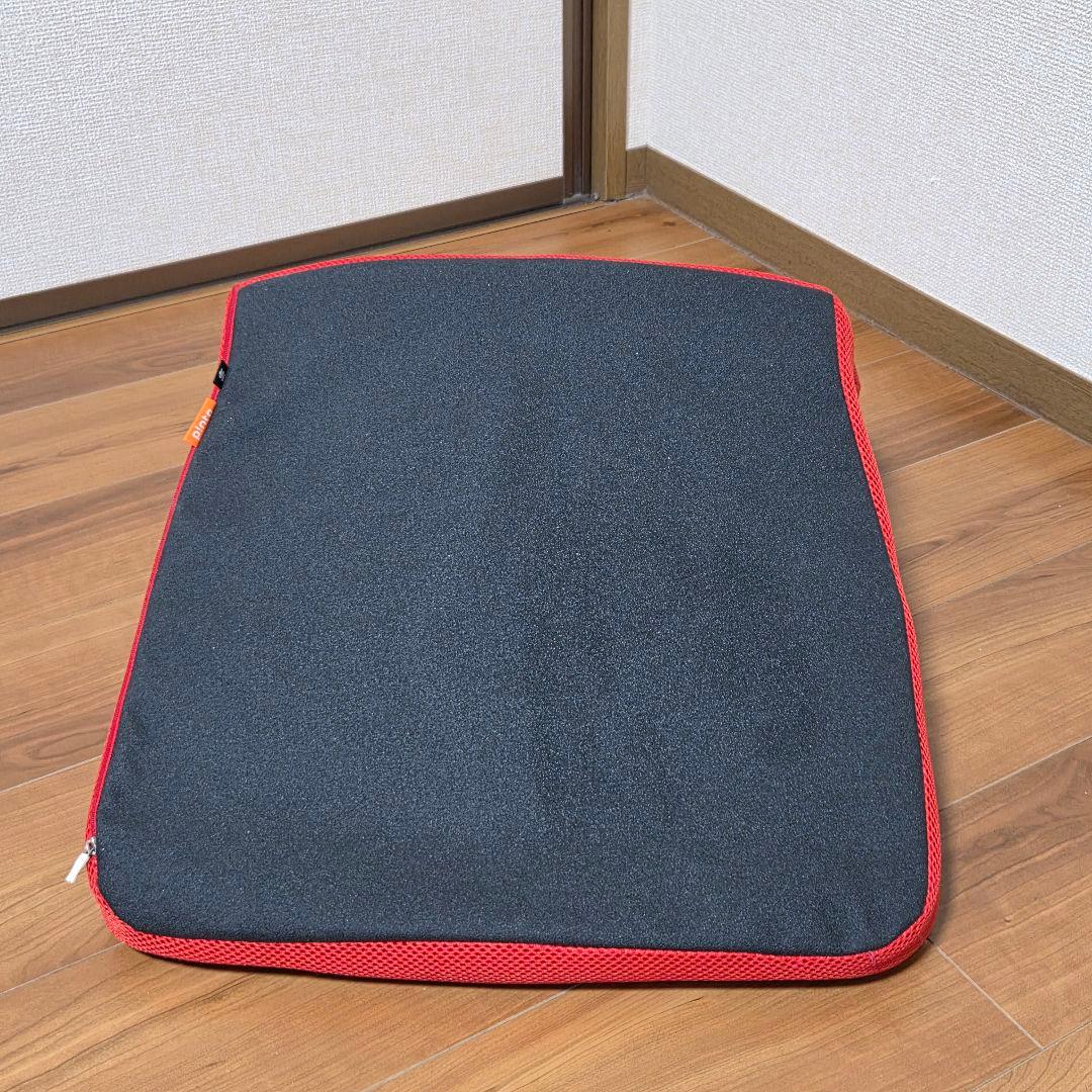 【美品】姿勢サポートクッション pinto ピント