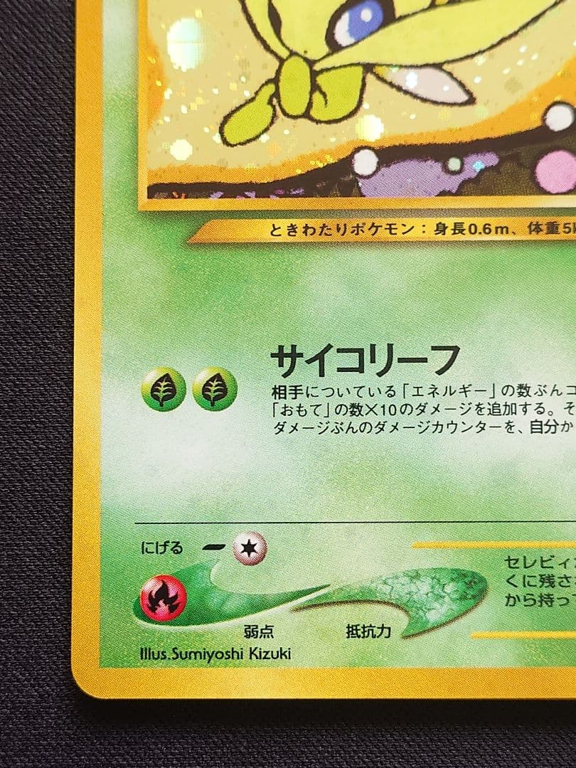セレビィ　旧裏　サイコリーフ　プレミアムファイル