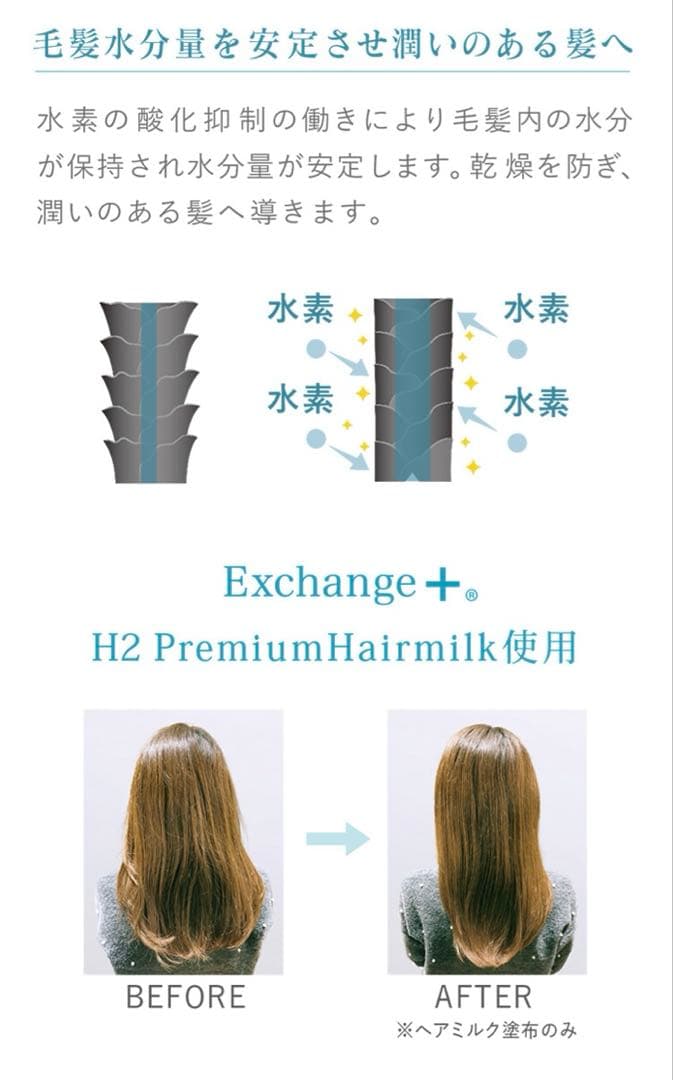 12/25まで！ストリエクスチェンジH2 プレミアムヘアミルク 2点セット