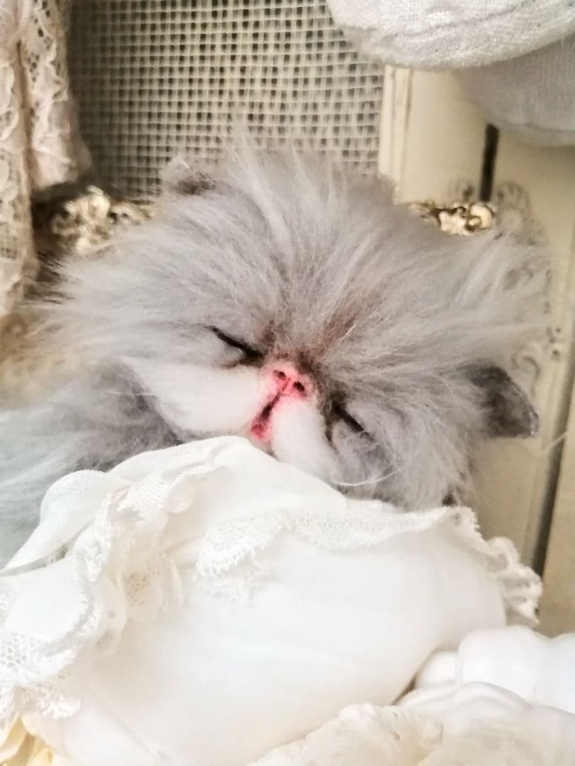 ポッケにゃん♡おねむちゃん♡エキゾチックベビー♡子猫♡アートドール♡ぬいぐるみ♡