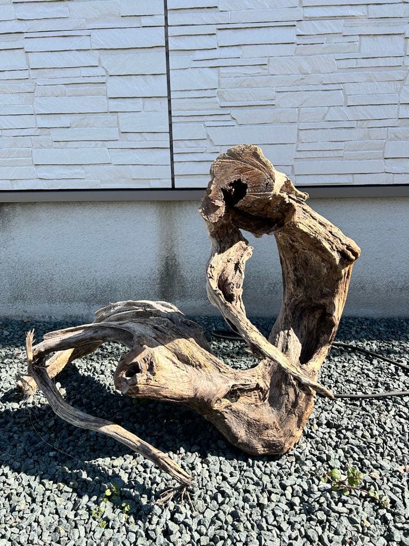 天然流木no.40 サイズ特大Ｌ