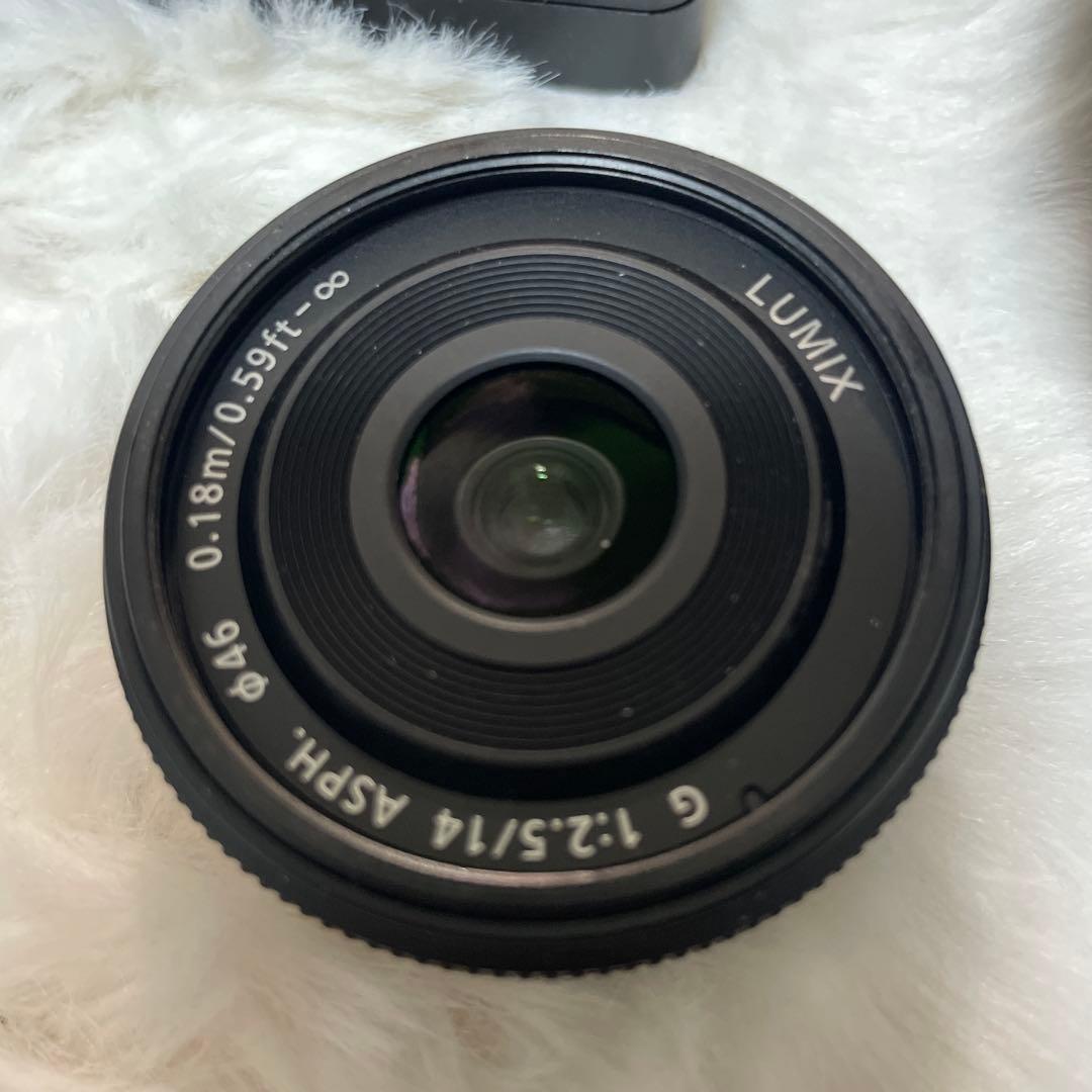 Panasonic LUMIX ダブルレンズキット DMC-GF2 1089.0