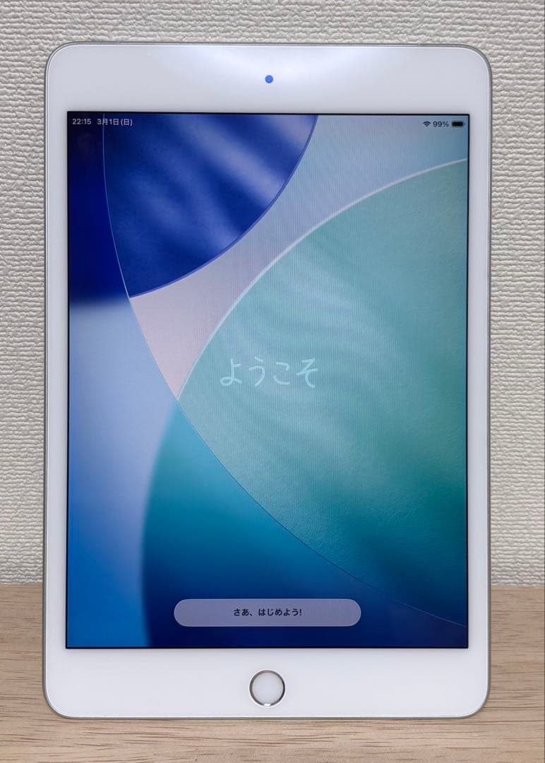 iPad mini5 Wi-Fi+Cell 64GB 美品 箱付