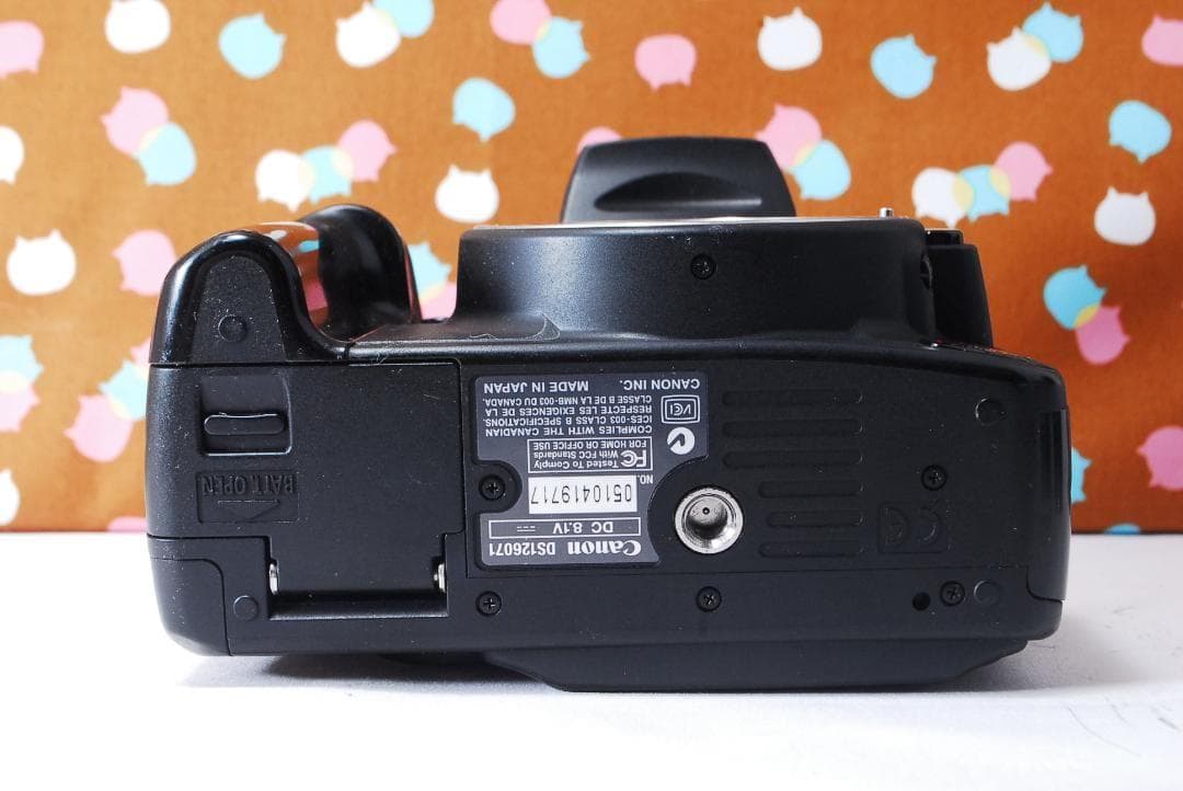 ✨お買い得✨Canon Kiss Digital N ダブルレンズセット