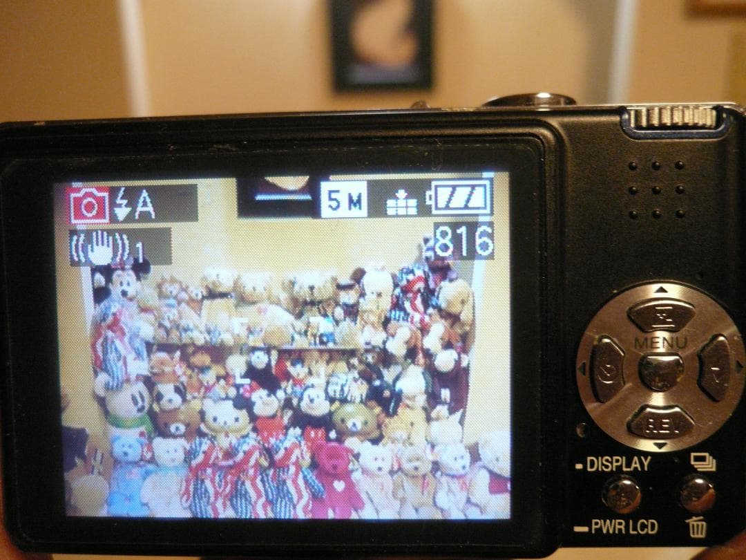 LUMIX★DMC-FX8⭐️美品⚠️必読有(モニター染み❤️ほぼ完品⭕️実働品