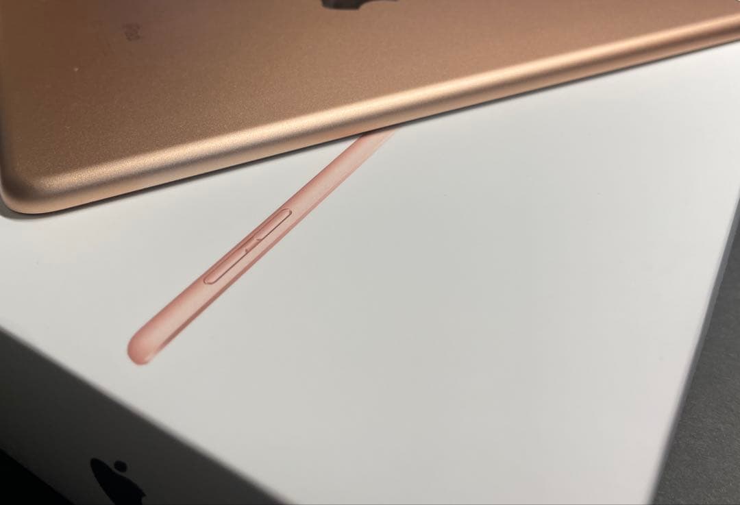 iPad mini 5 256GB ゴールド Wi-Fiモデル おまけ付き