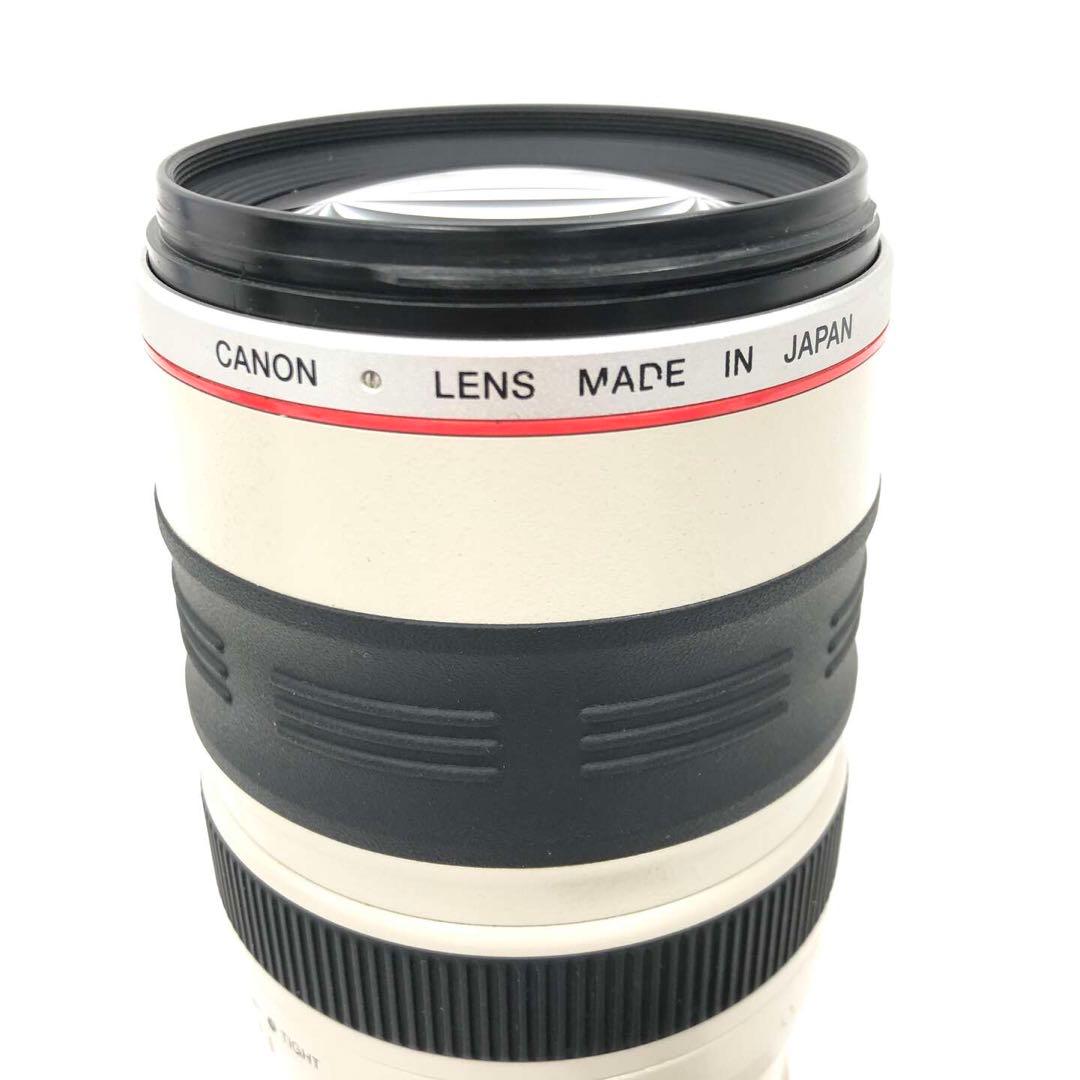 Canon キャノン レンズ 100-400mm 1:4.5-5.6 EF 一眼