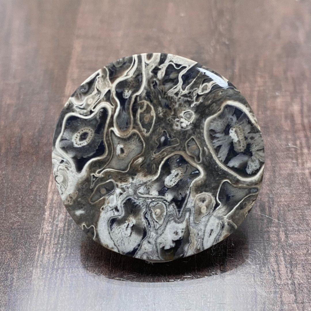 ペトリファイド パームウッド（珪化木）　ルース　天然石　化石　a10058