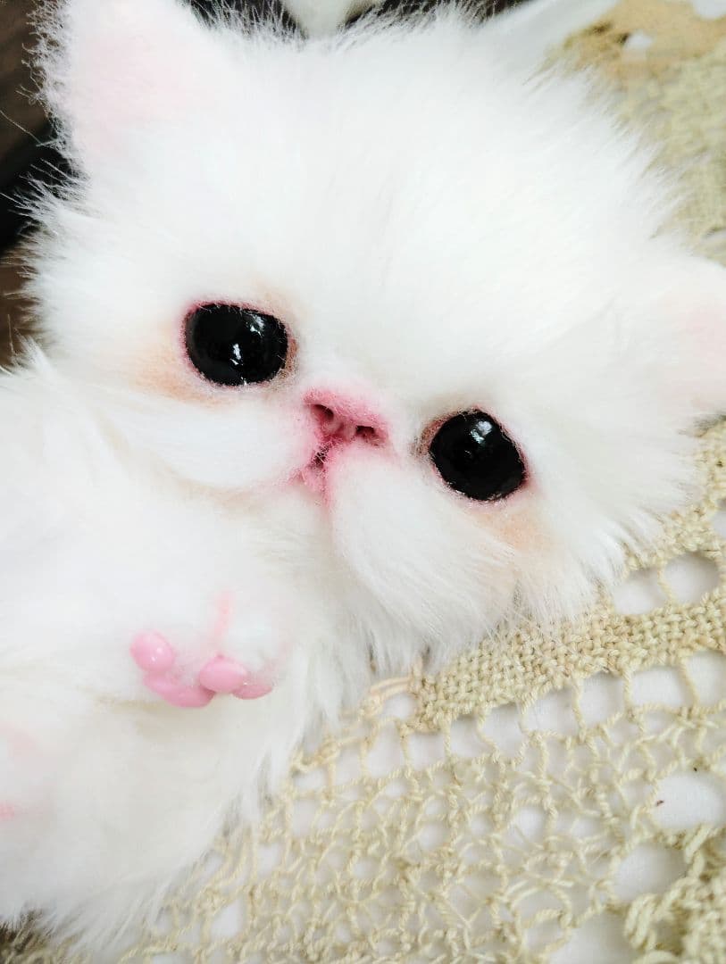 エキゾチックショートヘア♡子猫♡モモちゃん♡アートドール♡ぬいぐるみ♡