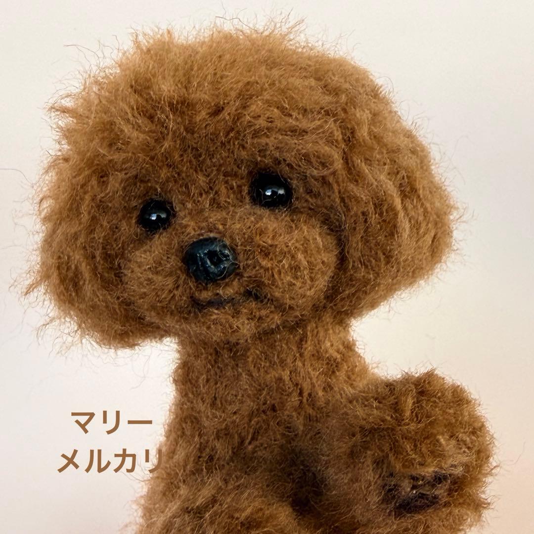 お手♡が可愛い♡レッドプードルちゃん