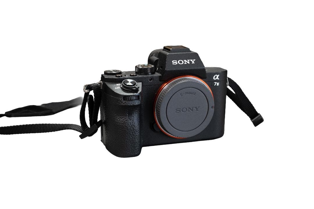 sony α7ii バッテリー2個
