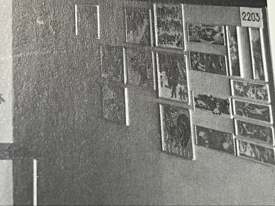 スイス　アントニオヴィタリ　木製パズル　1960年　Heimatwerk購入品