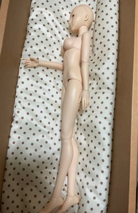 SOUL DOLL【期間数量限定】 GOLDEN ROSE SD ドール bjd
