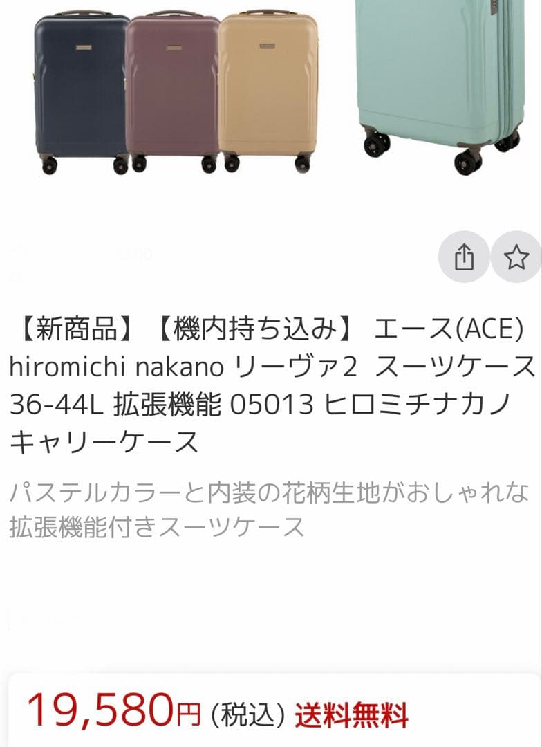 ace エース スーツケース　ヒロミチナカノ