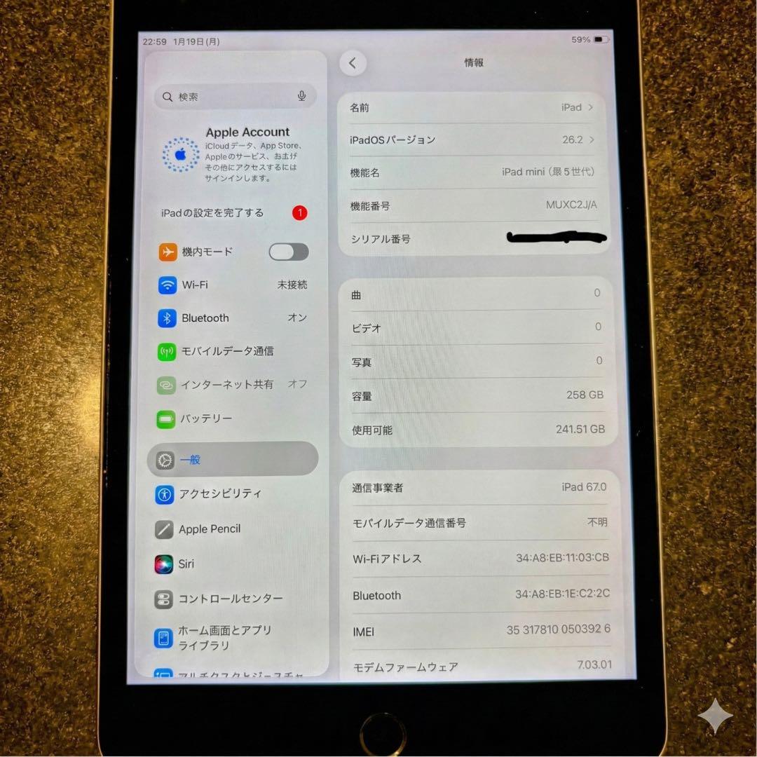 【新品純正HDMI付】iPad mini 5 Cellular SIMフリー
