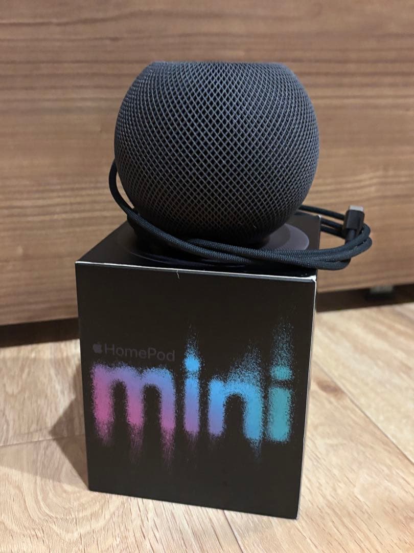 【美品】Apple Pod mini スペースグレー
